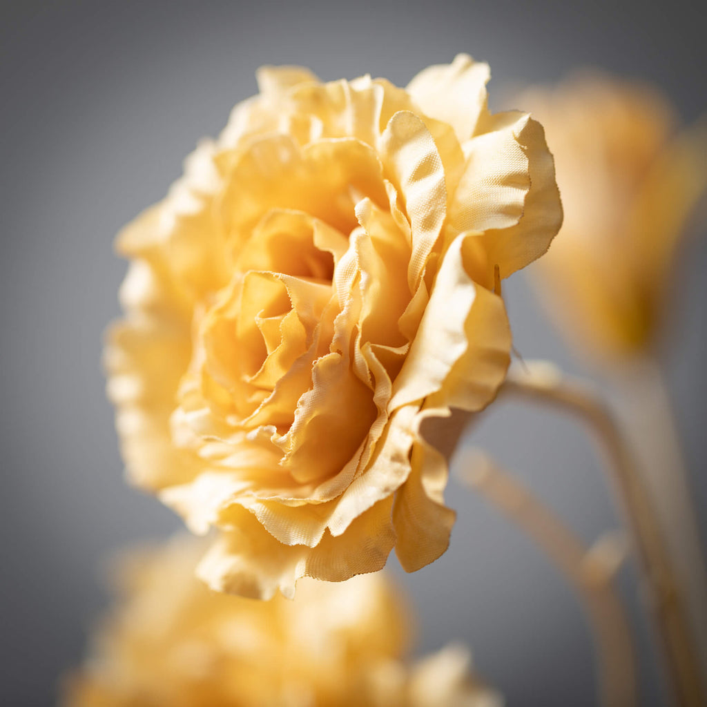 Soft Yellow Lisianthus Spray  