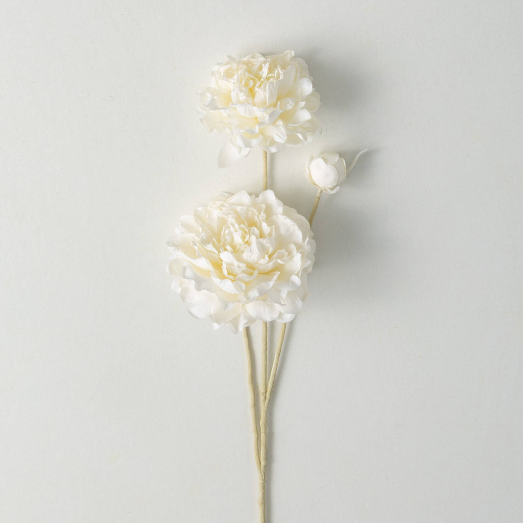 Soft Cream Peony Spring Stem  