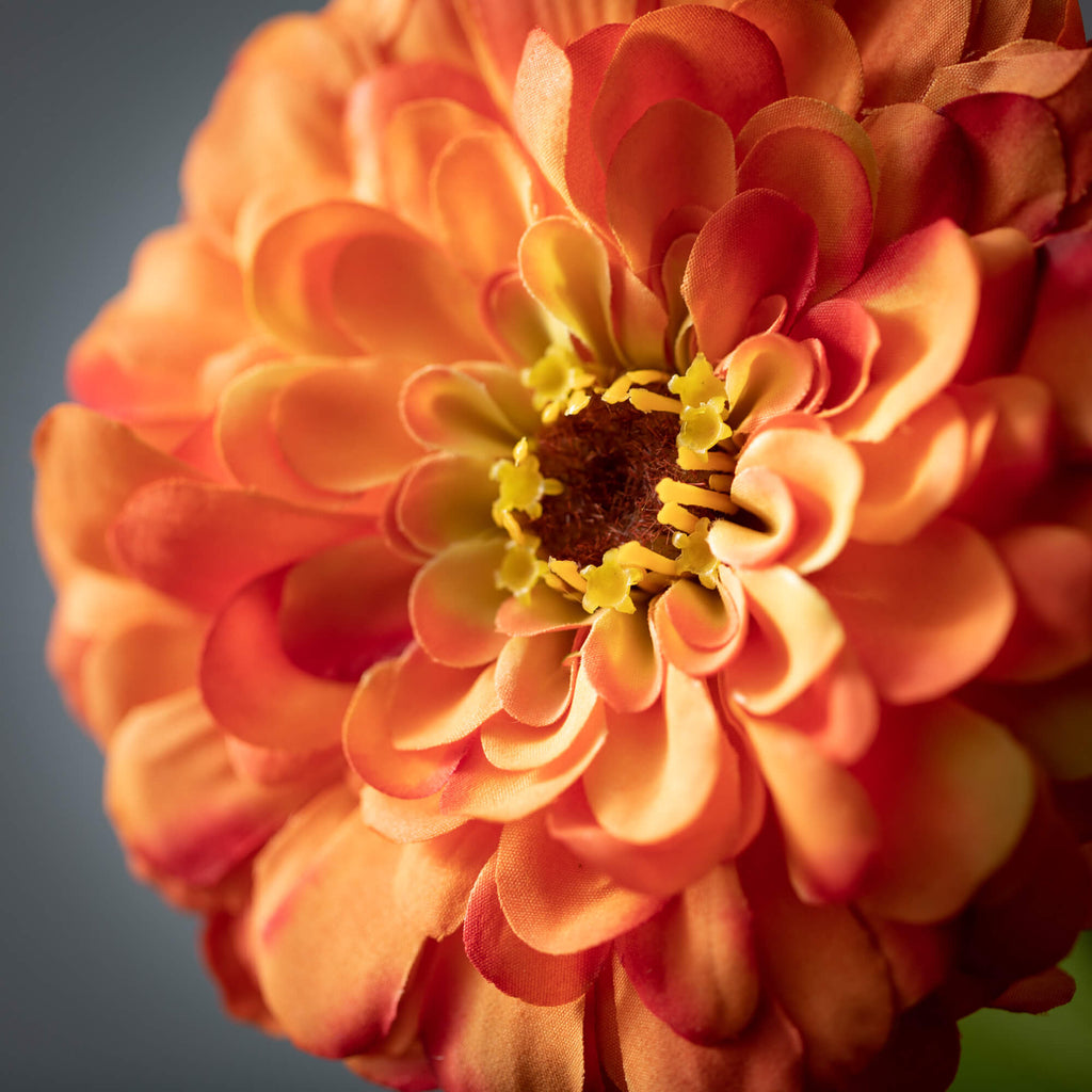 Blooming Orange Zinnia Spray  