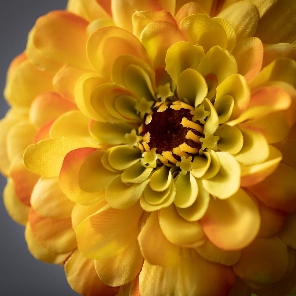 Blooming Yellow Zinnia Spray  