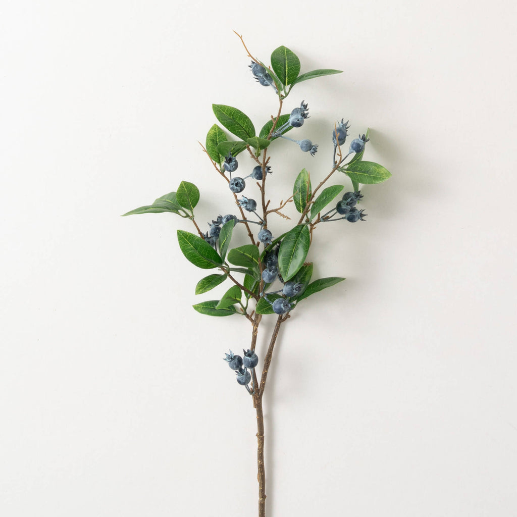 Blue Berry And Foliage Spray  