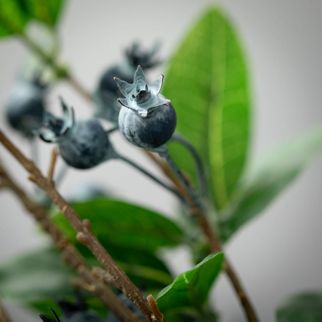 Blue Berry And Foliage Spray  