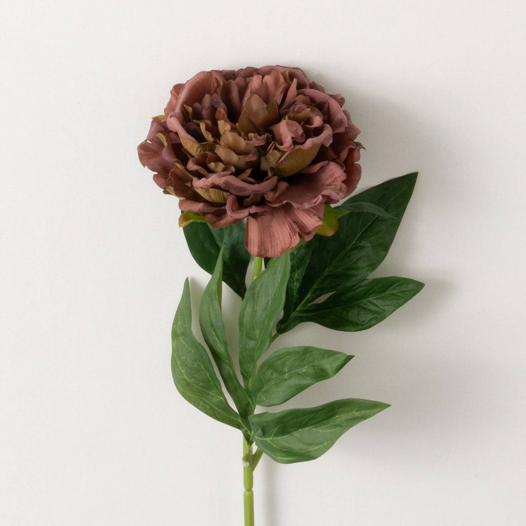 Peony Stem                    