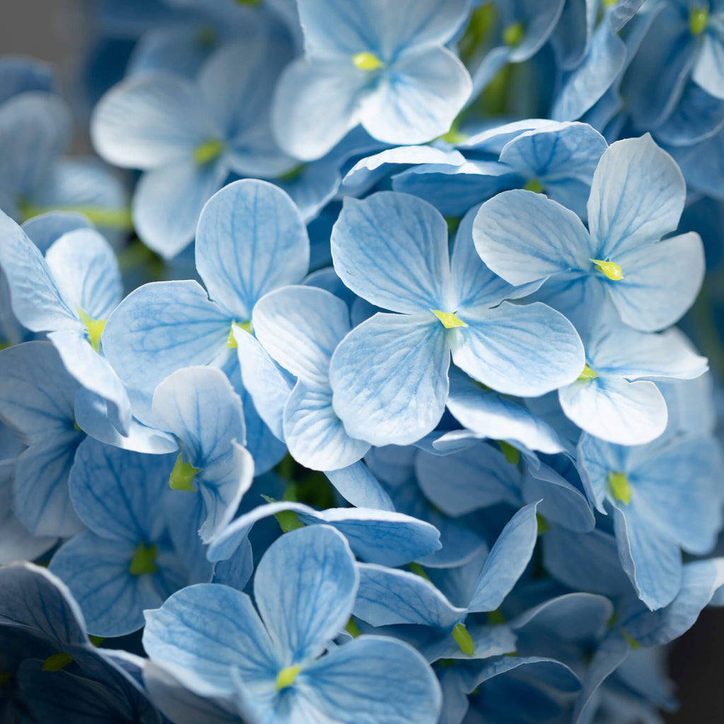 Blue Cone Hydrangea Spray     