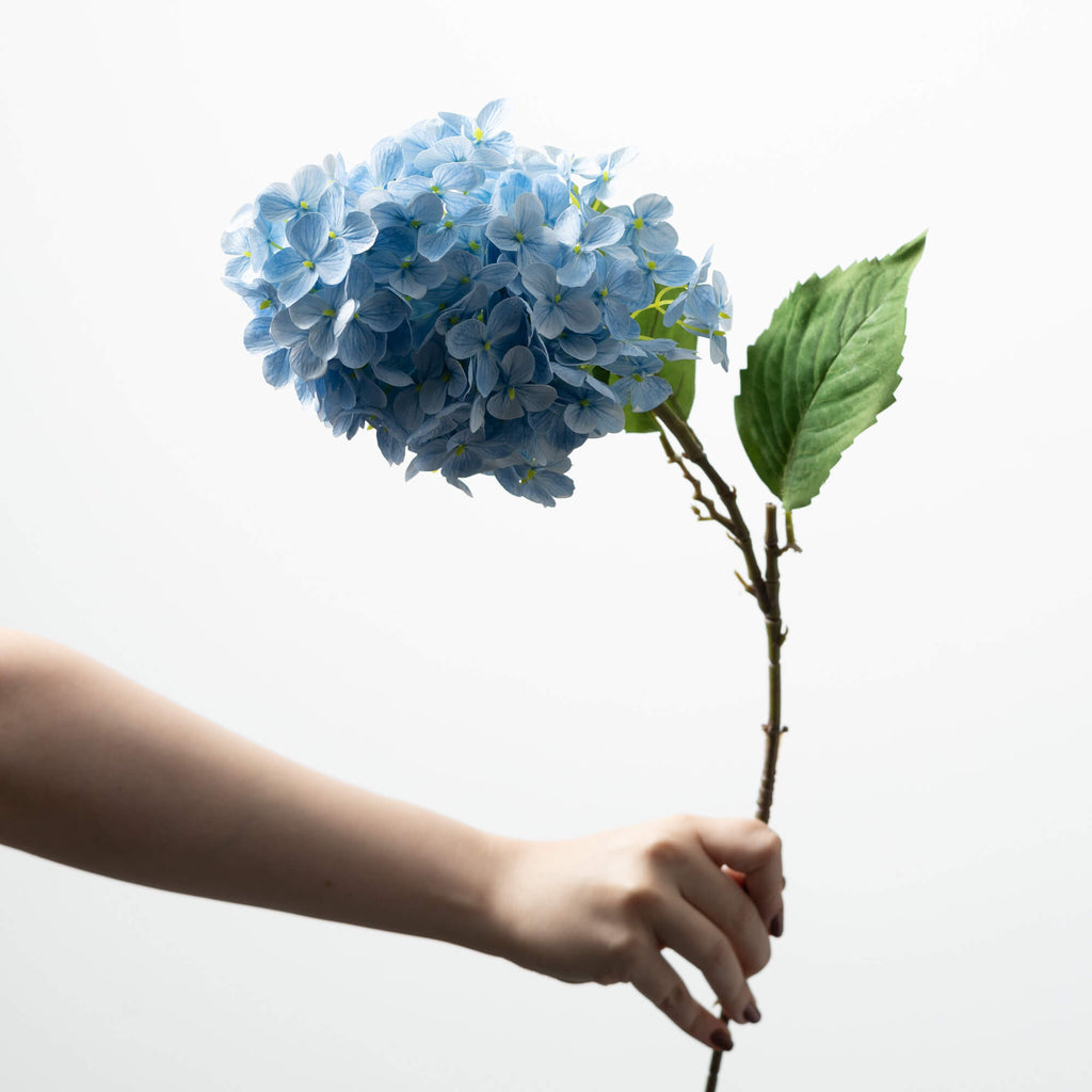 Blue Cone Hydrangea Spray     