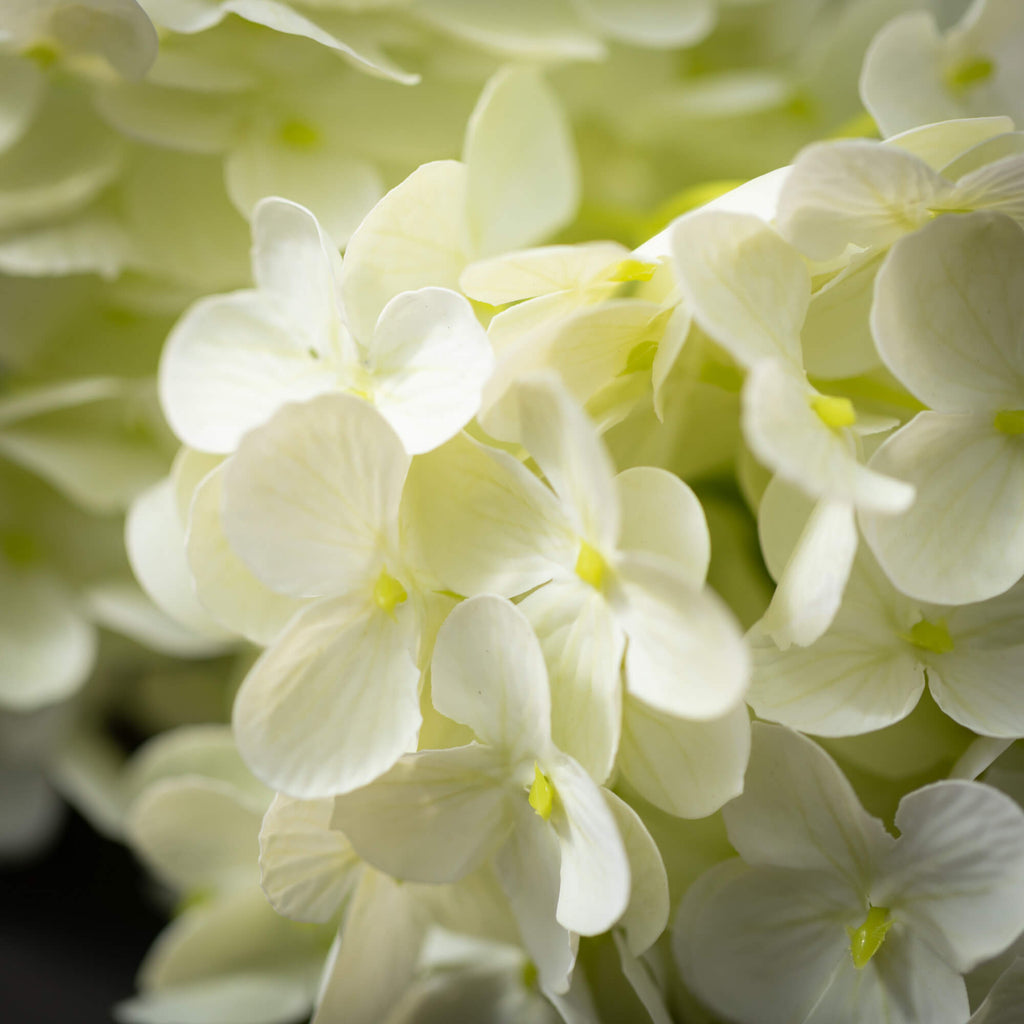 Ivory Cone Hydrangea Spray    