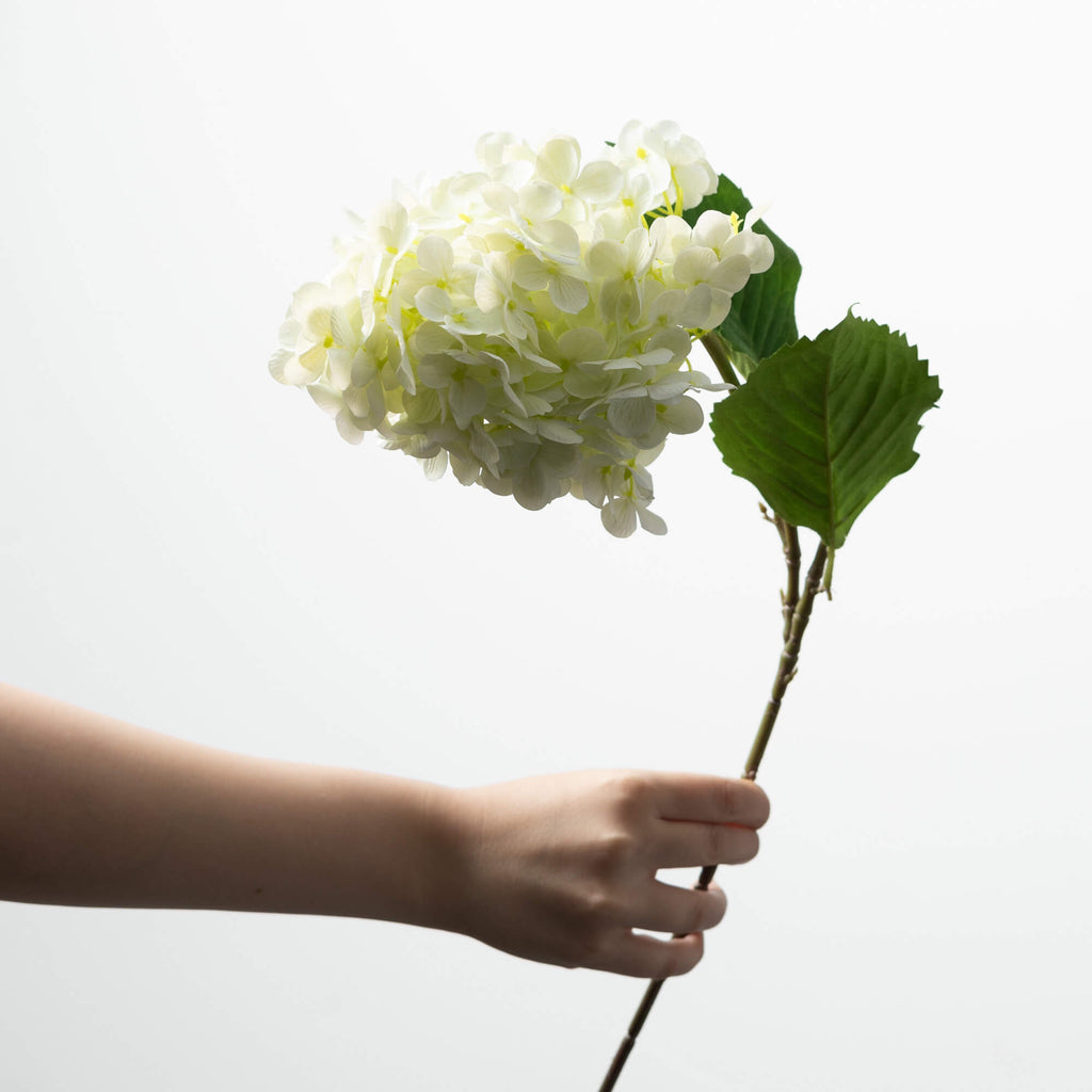 Ivory Cone Hydrangea Spray    