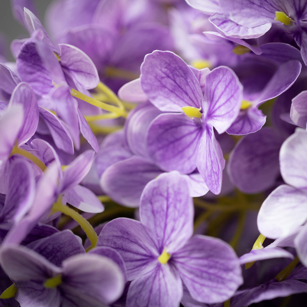 Purple Cone Hydrangea Spray   