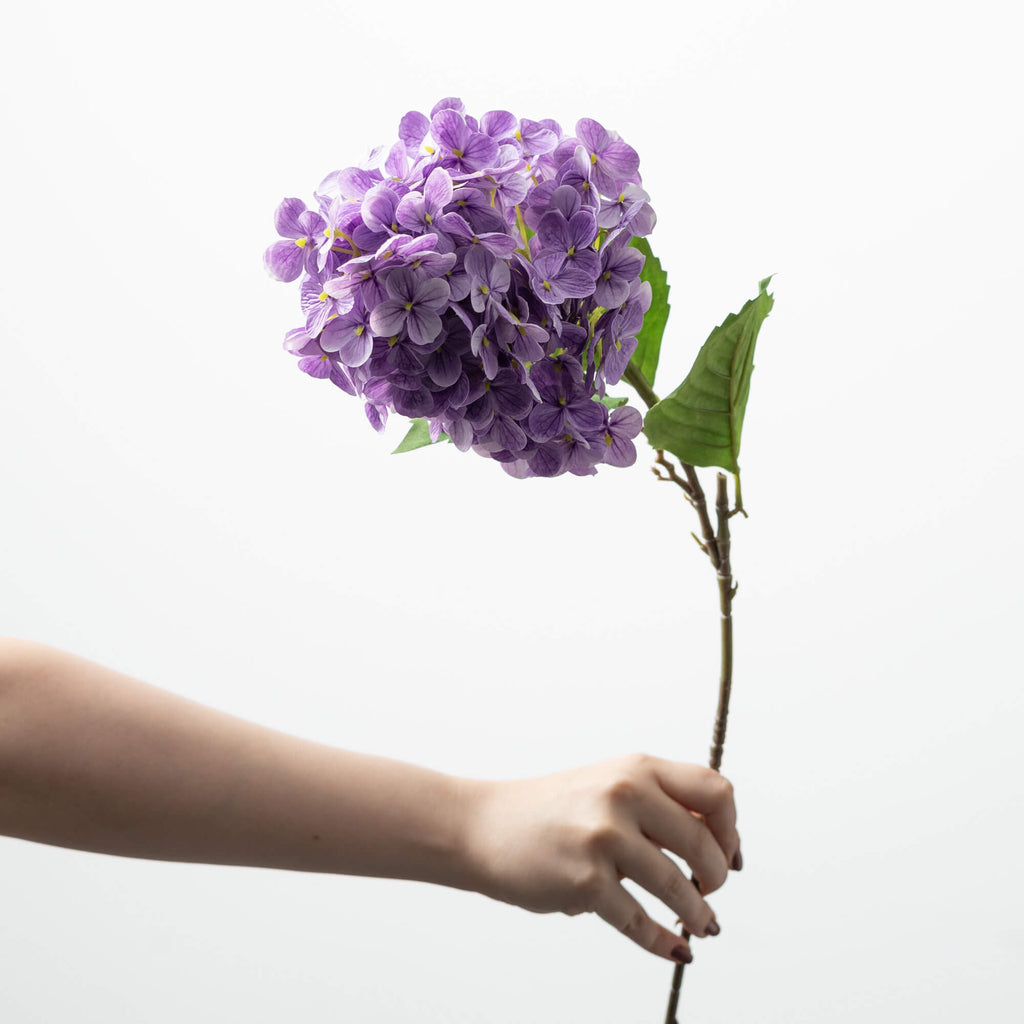 Purple Cone Hydrangea Spray   