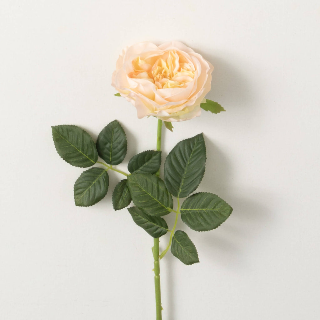 Peach Garden Rose Spray       