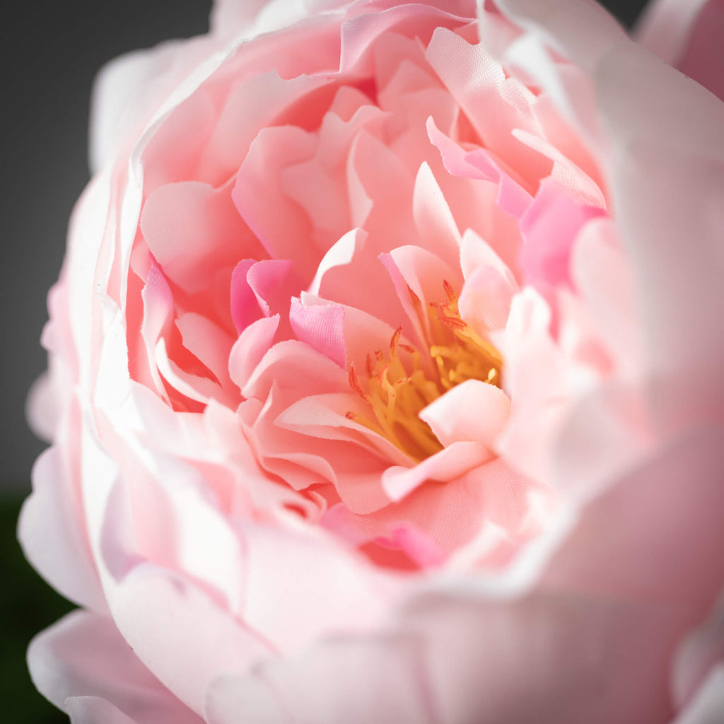 Pink Peony Spray              