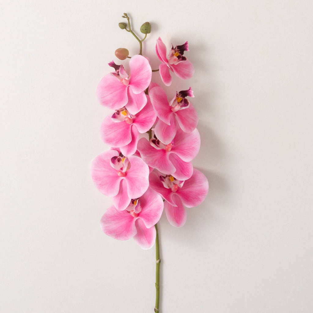 Pink Phalaenopsis Spray       