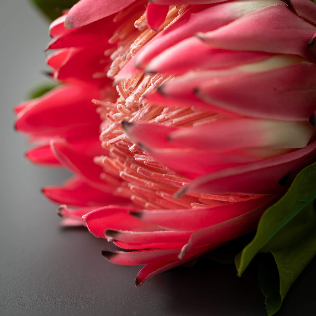 Pink Protea Spray             