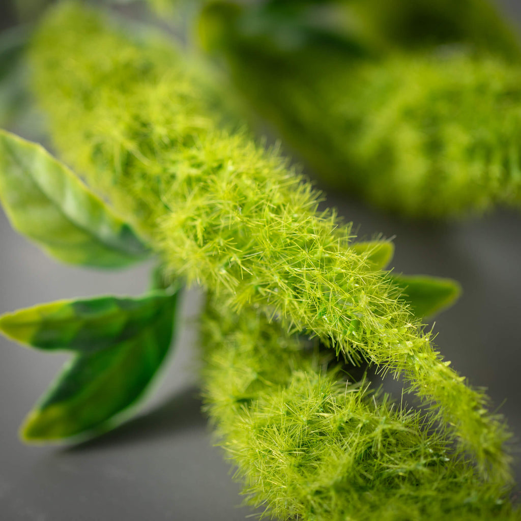 Green Amaranthus Spray        