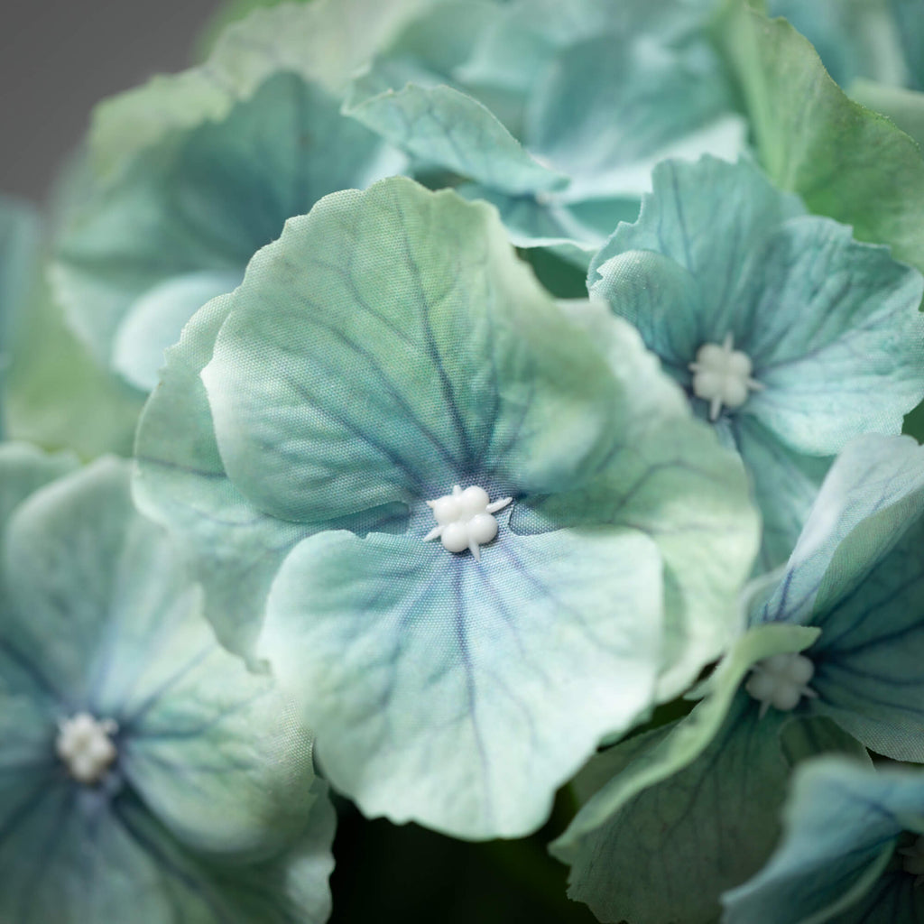 Light Blue Hydrangea  Stem    