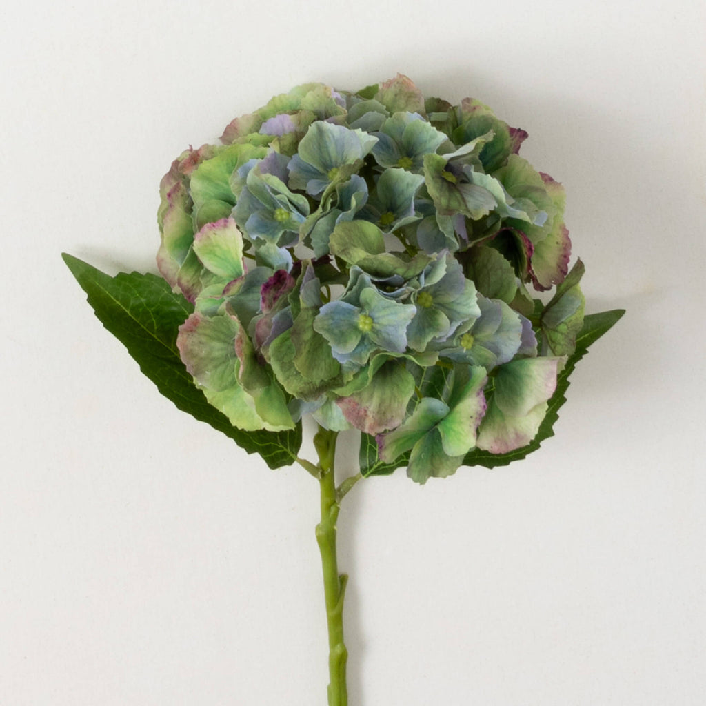 Green Hydrangea Stem          