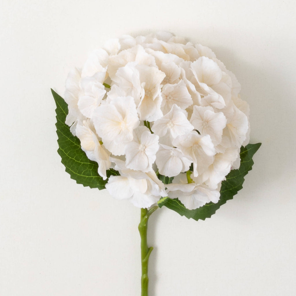 White Hydrangea Stem          