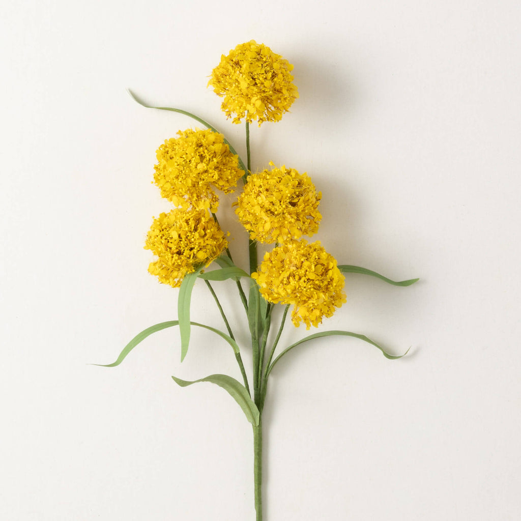 Yellow Thistle Spray          