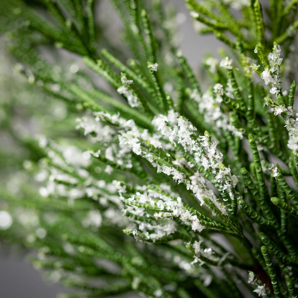 Frosted Green Cedar Garland   