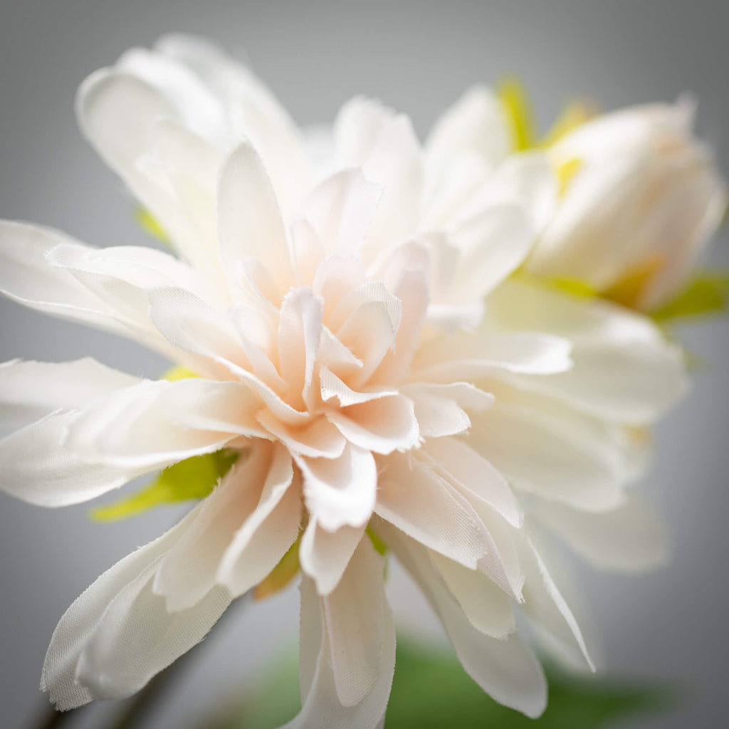 Pristine Cream Dahlia Spray   