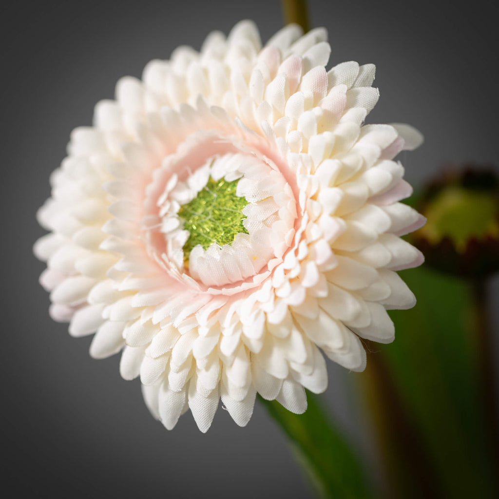 Blush Primrose Spray          