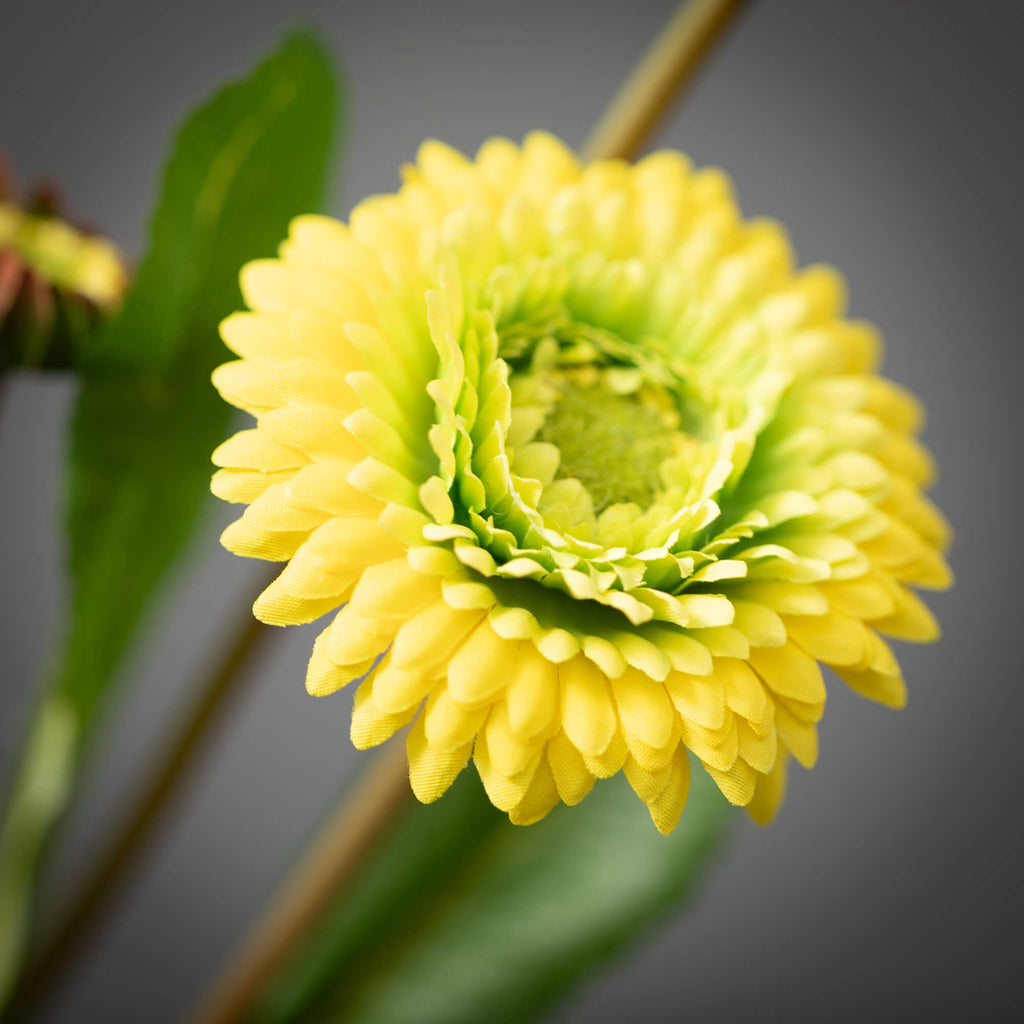 Yellow Primrose Spray         