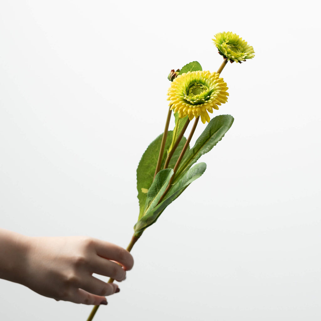 Yellow Primrose Spray         