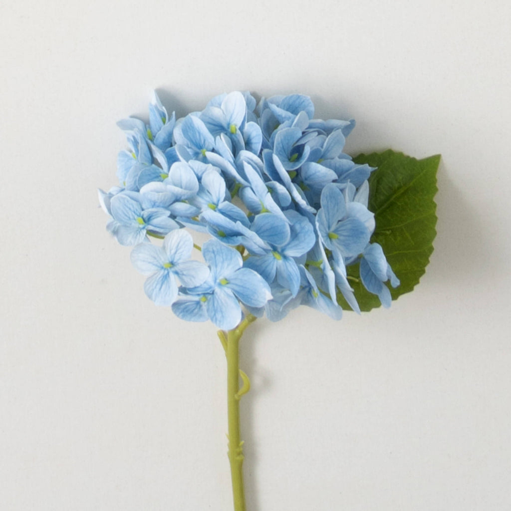 Short Stem Blue Hydrangea     