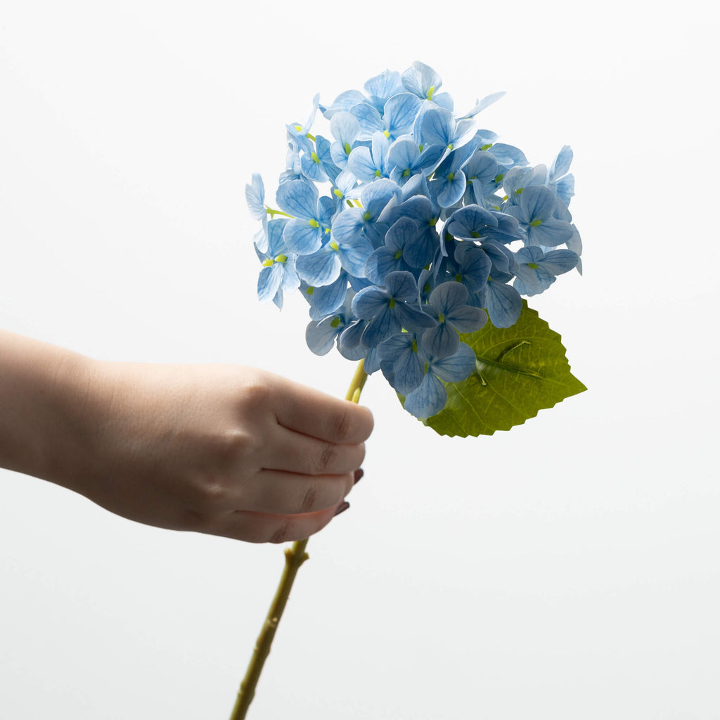 Short Stem Blue Hydrangea     