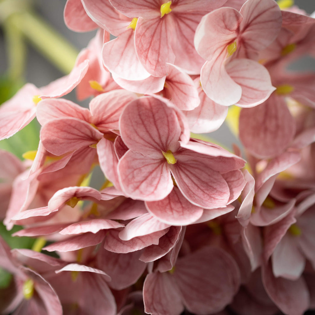 Short Stem Dark Pink Hydrangea