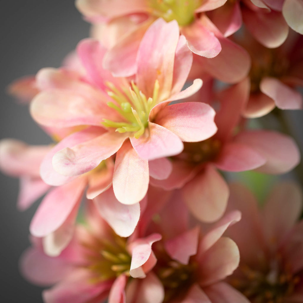 Light Pink Daisy Spray        