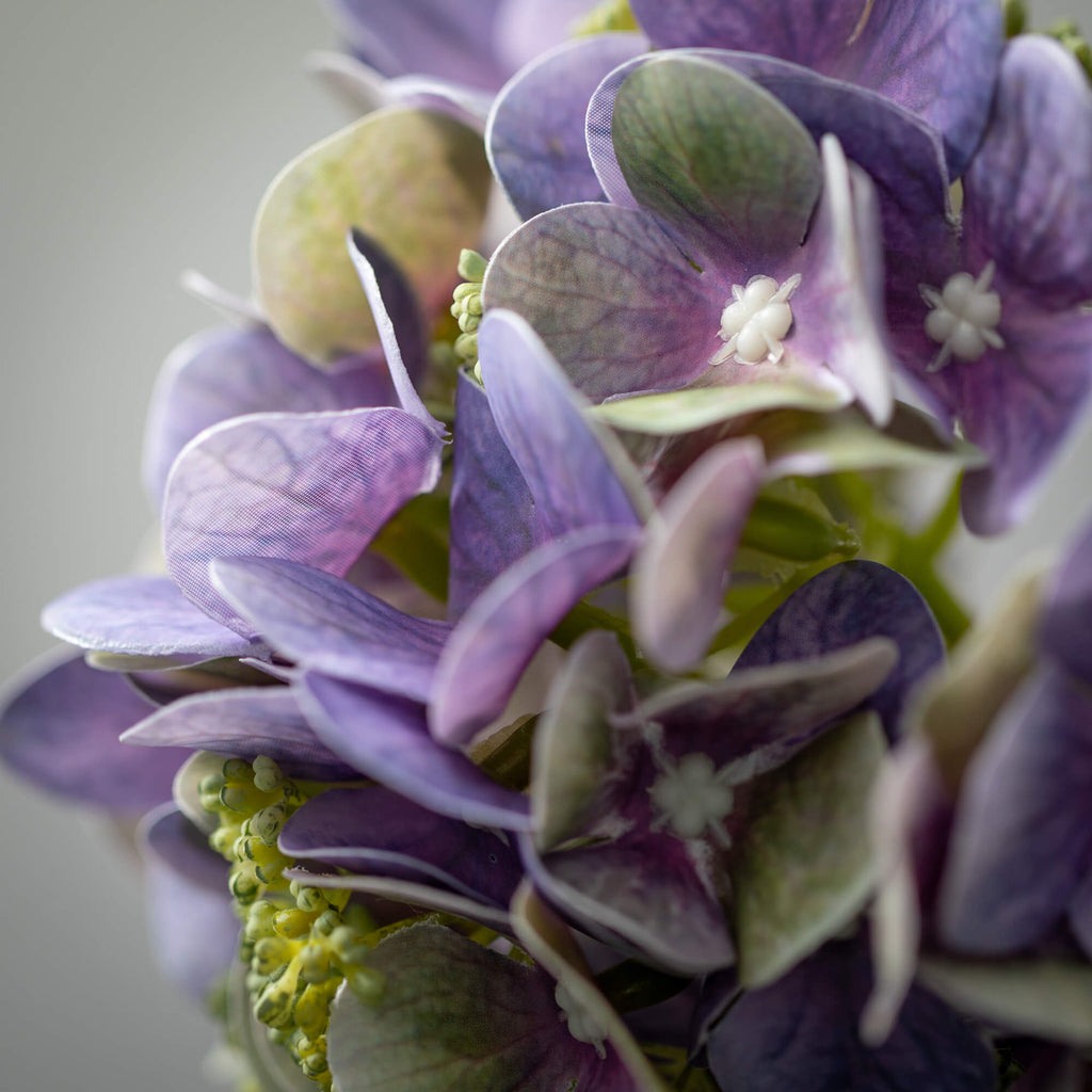 Purple Hydranga Short Stems   