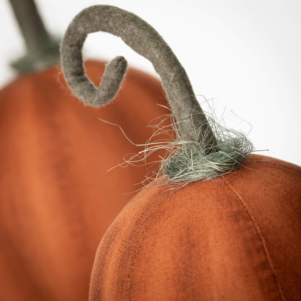 Curlicue Stem Harvest Pumpkins