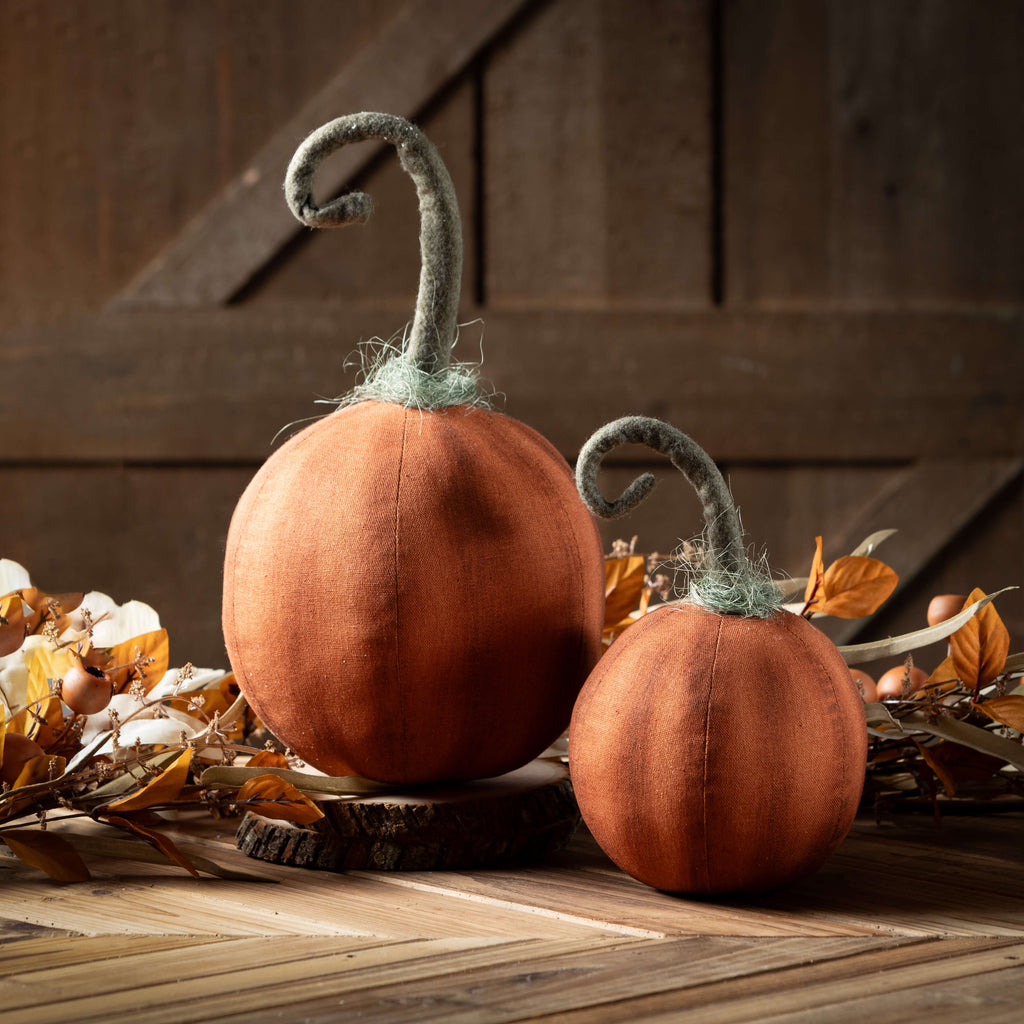 Curlicue Stem Harvest Pumpkins