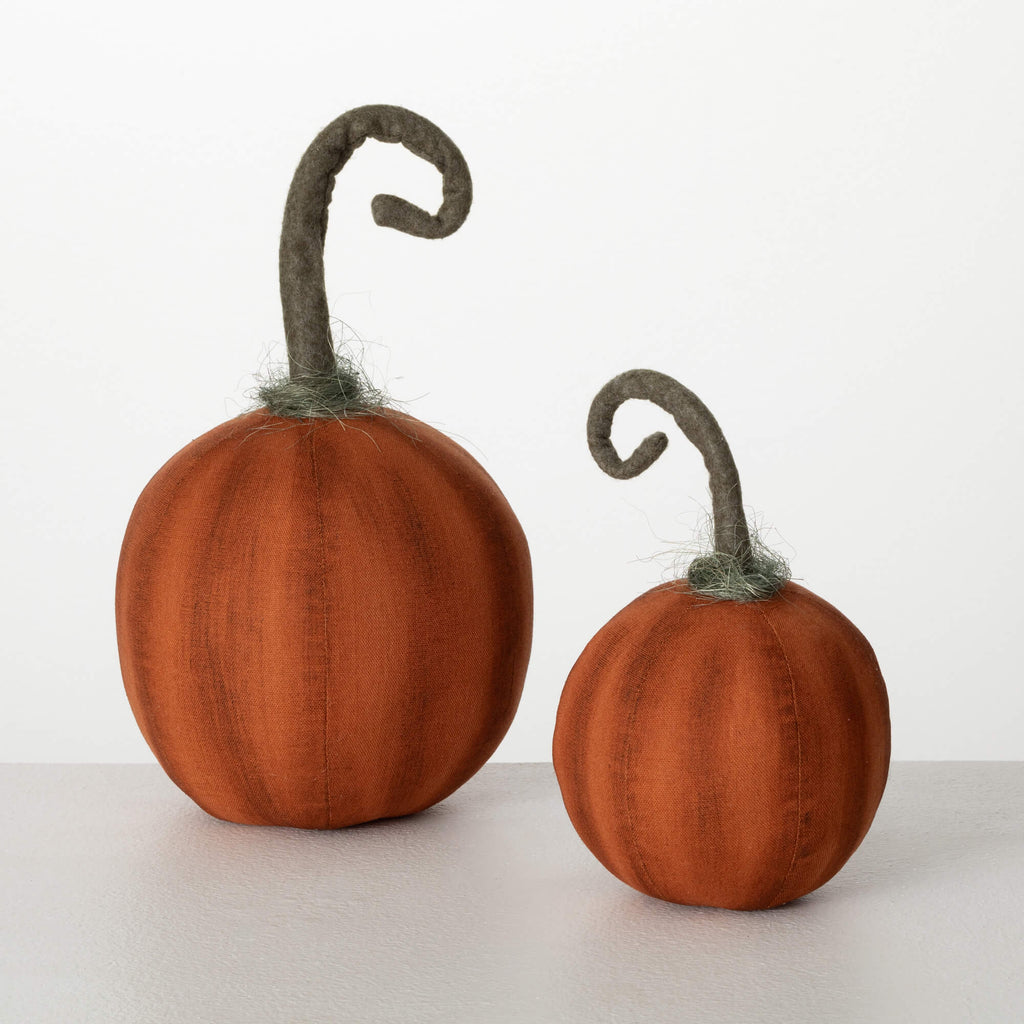 Curlicue Stem Harvest Pumpkins