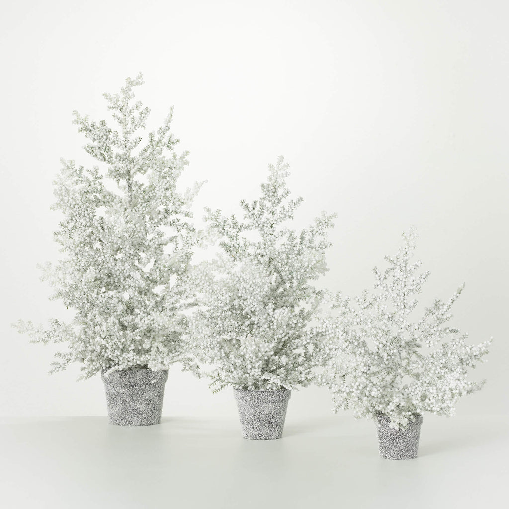 Frosted Juniper Tabletop Trees