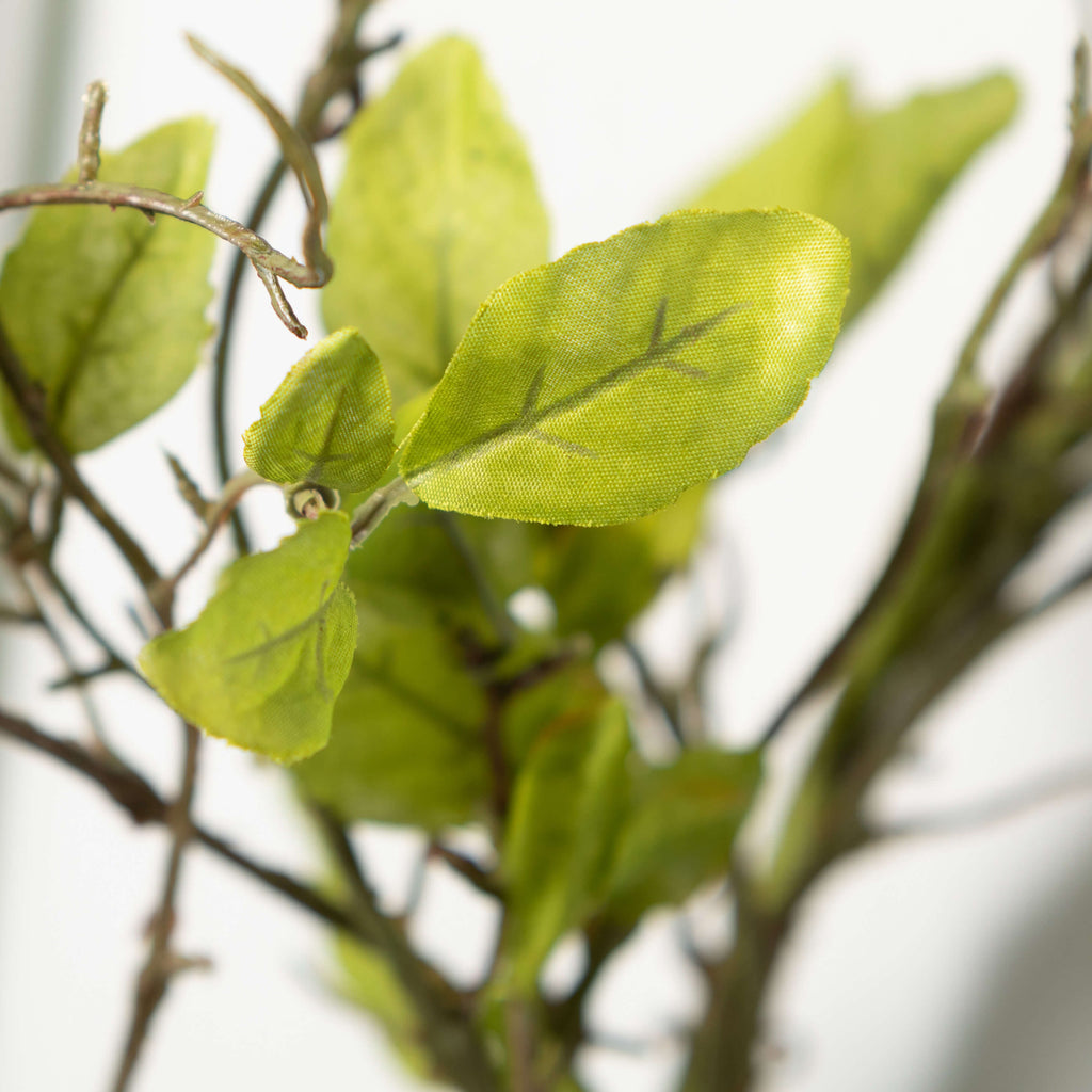 Leaf & Twig Wreath            