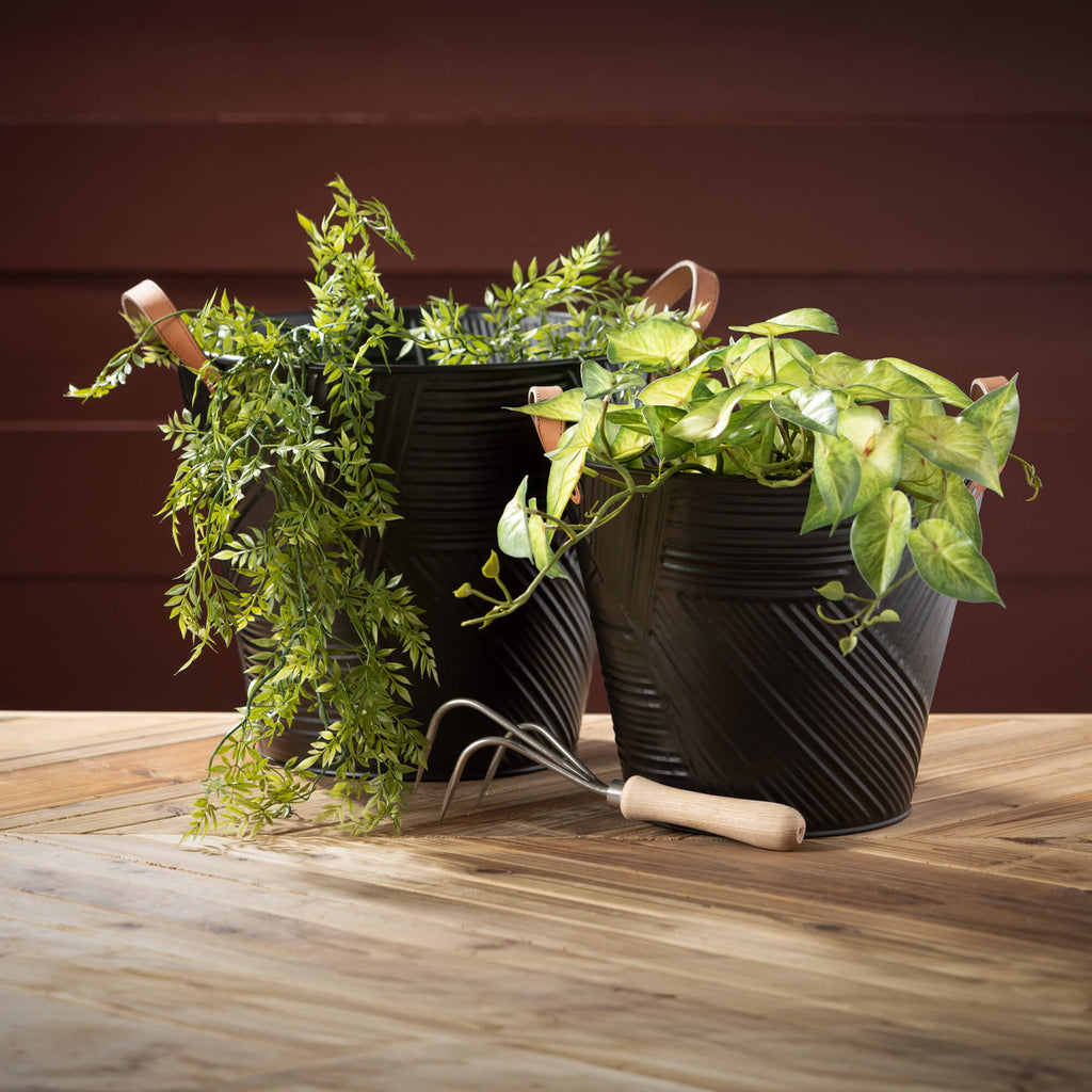 Etched Black Bucket Planter Se