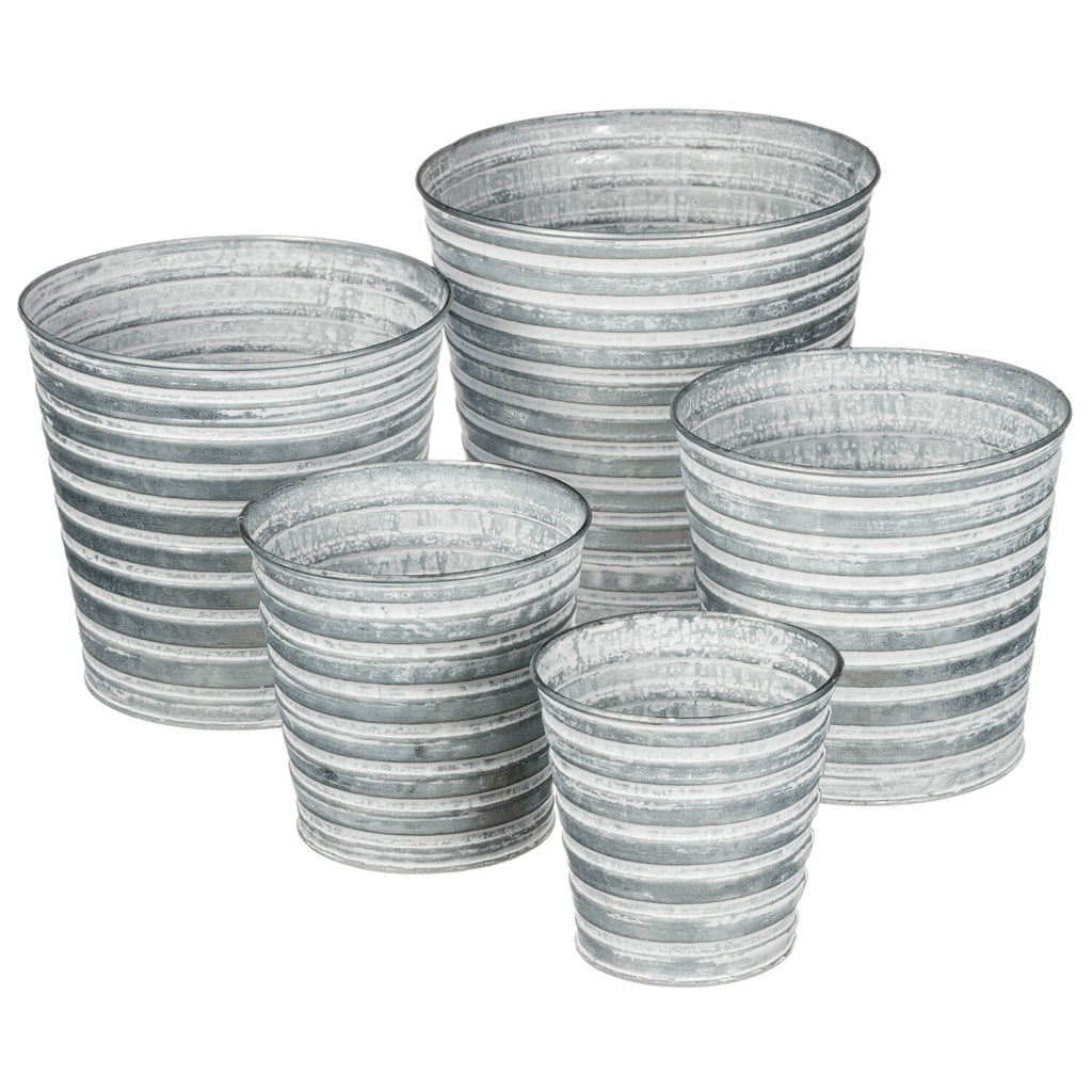 Metal Pail Planter Set Of 5   