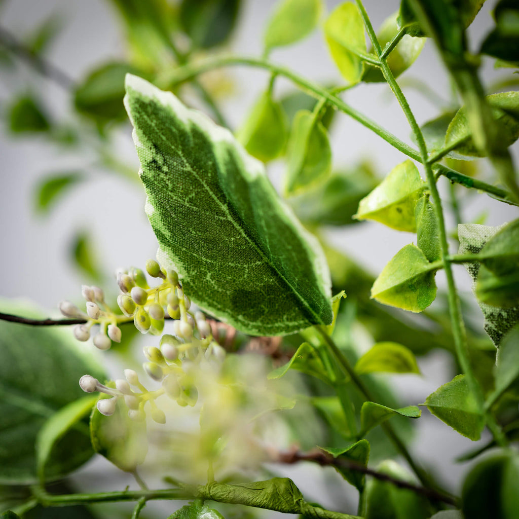 Variegated Foliage Mix Bush   