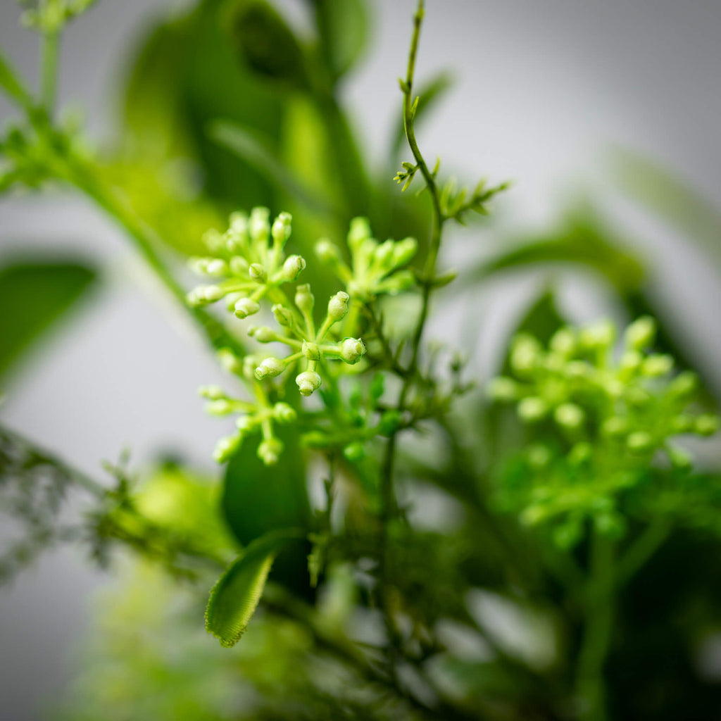 Verdant Leafy Foliage Ring    