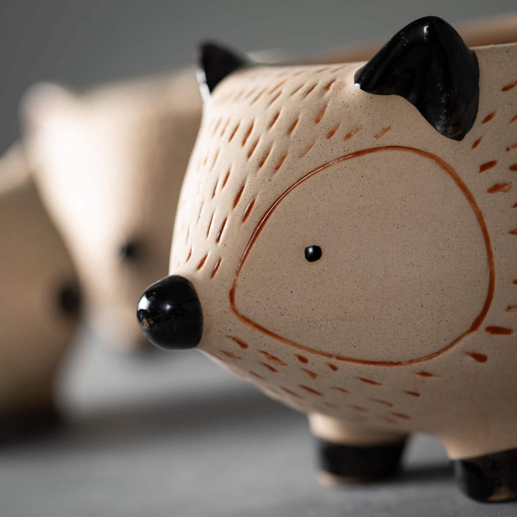 Kitschy Hedgehog Planter Set  