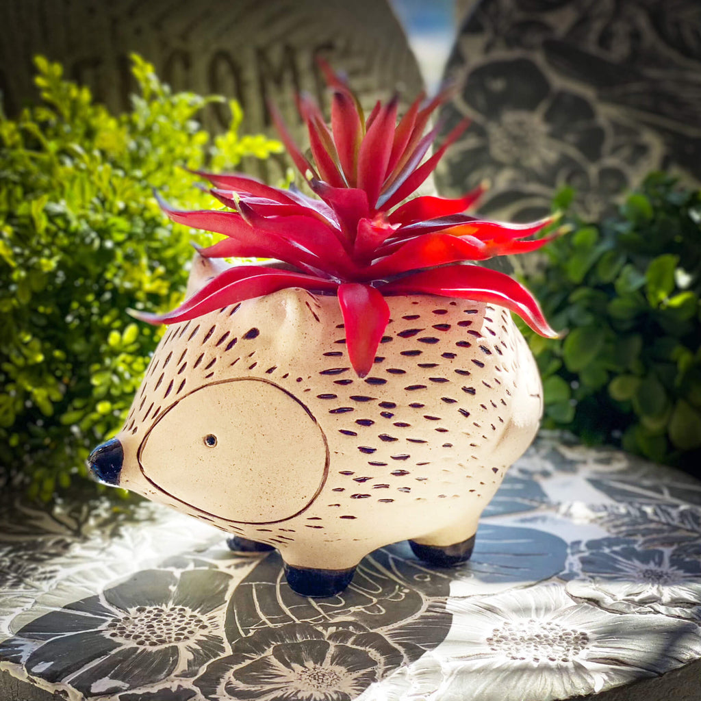 Kitschy Hedgehog Planter Set  