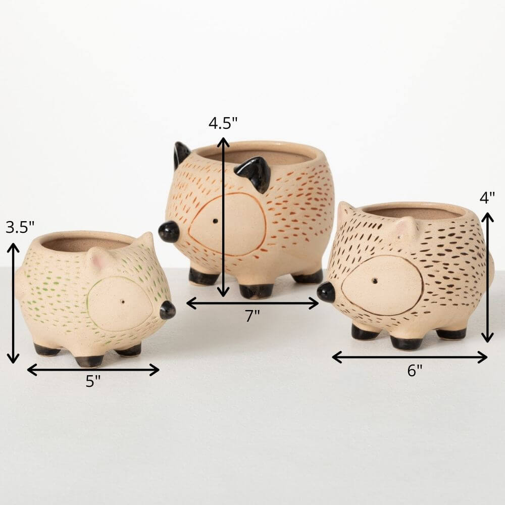 Kitschy Hedgehog Planter Set  