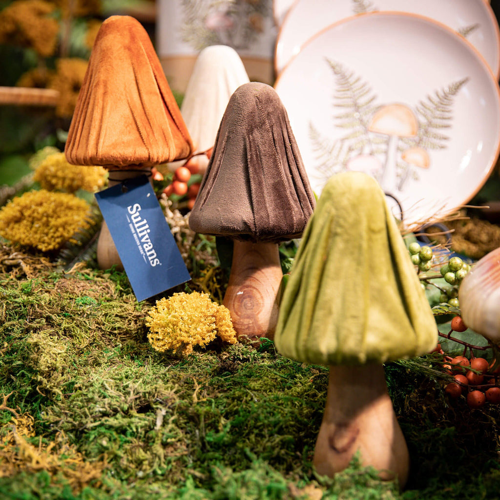 Four-Color Wood Mushroom Set  