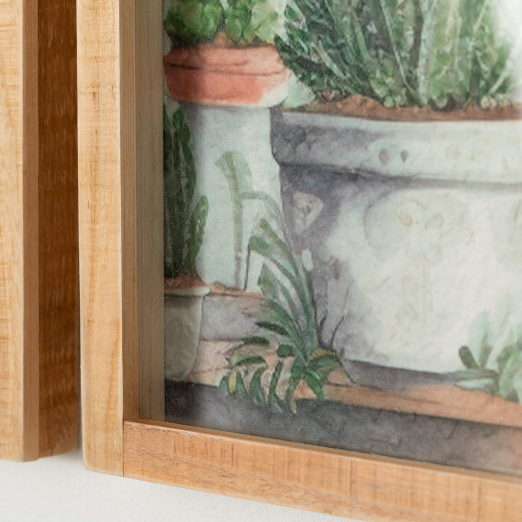 Plant Shadow Box Wall Art Trio