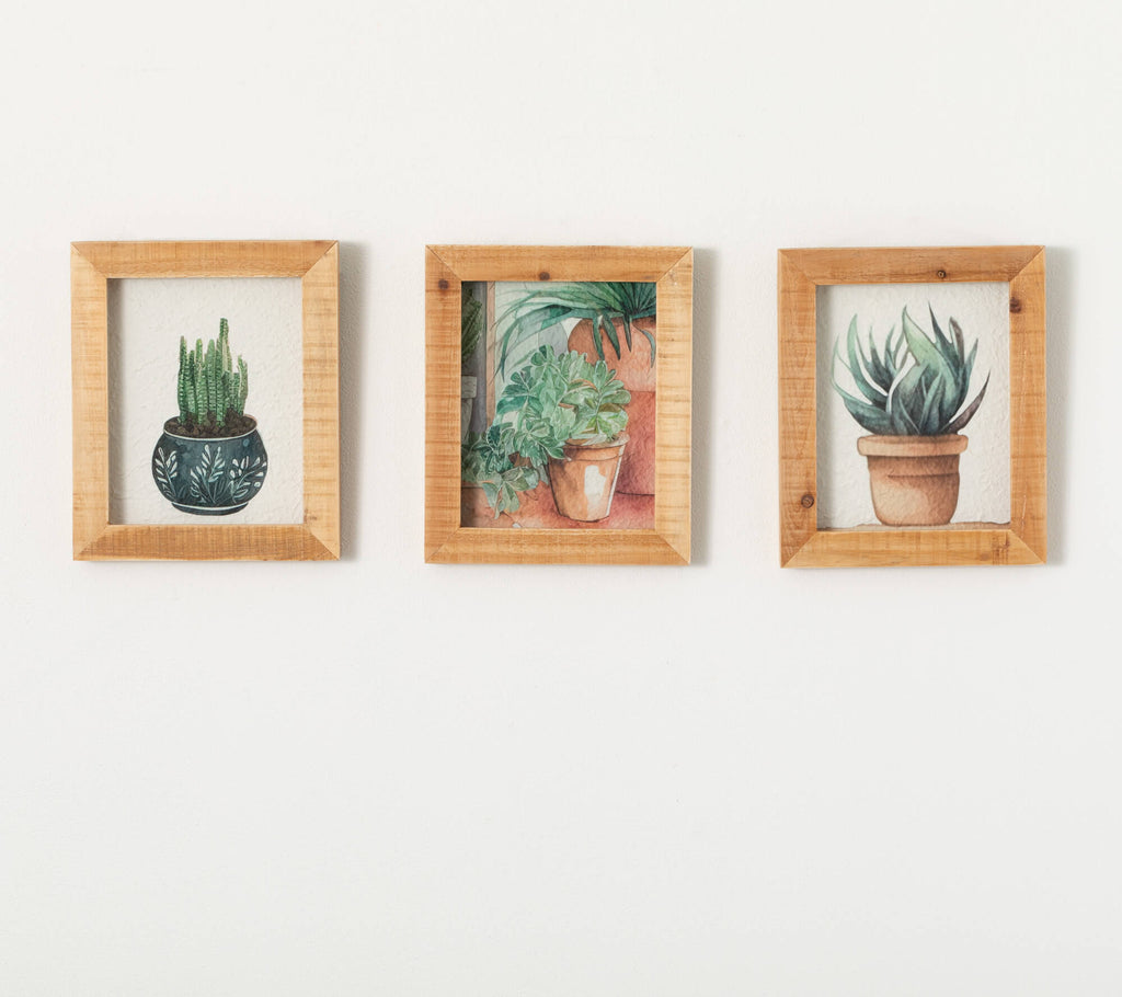 Planter Shadow Box Artwork Tri