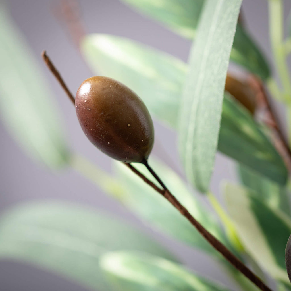 Rustic Olive Leaf Pick        