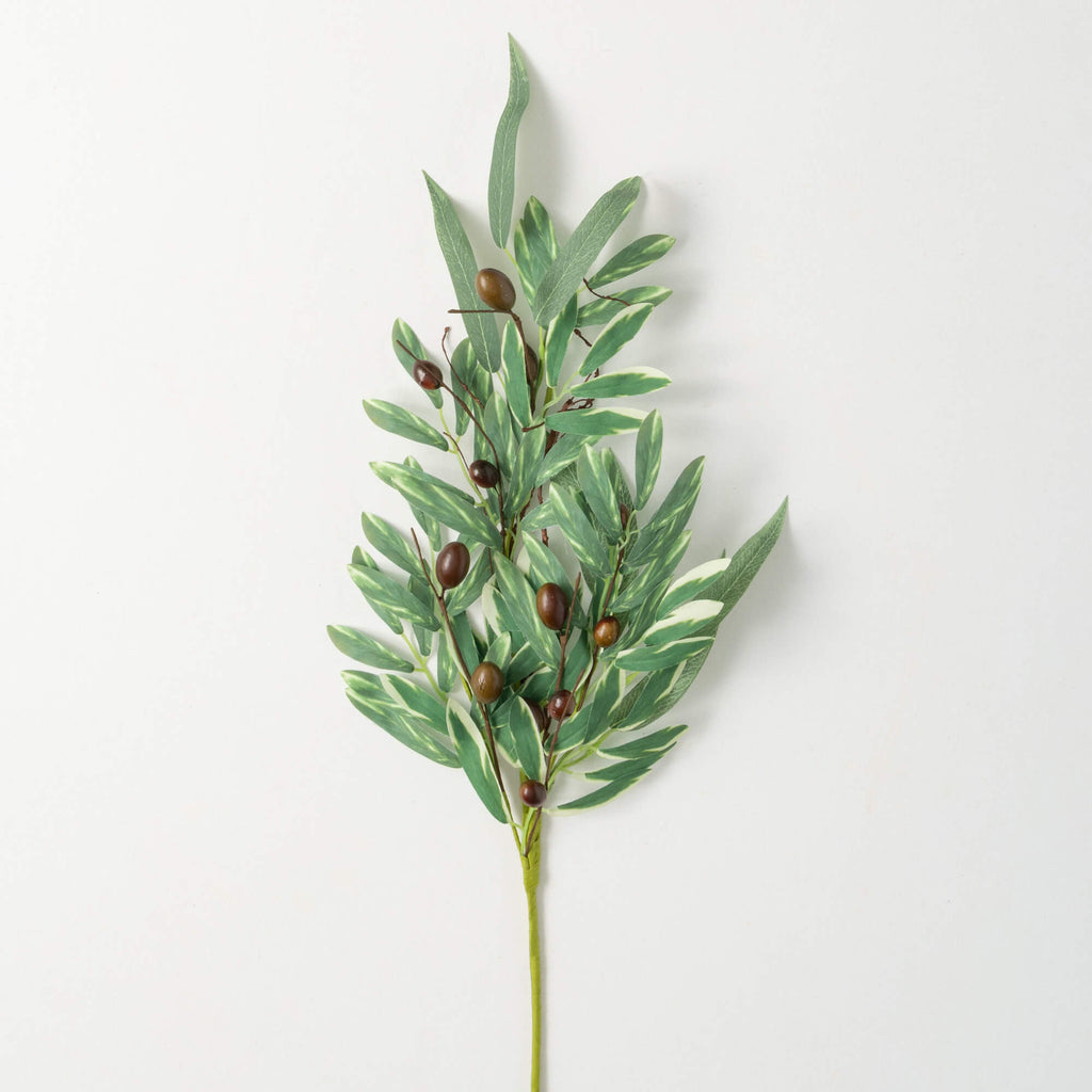 Rustic Olive Leaf Spray       