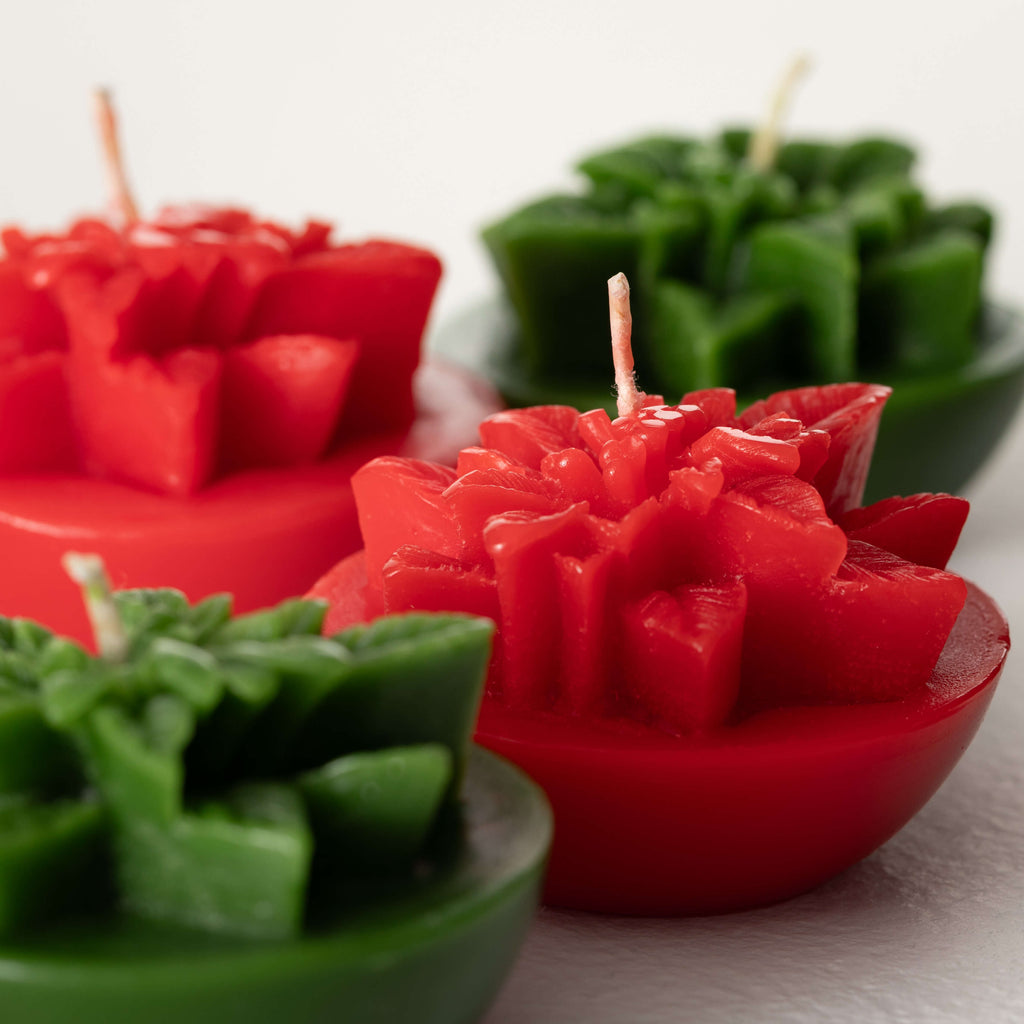 Boxed Poinsettia Votives      